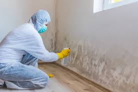 Best Crawl Space Mold Remediation in Bowie, MD